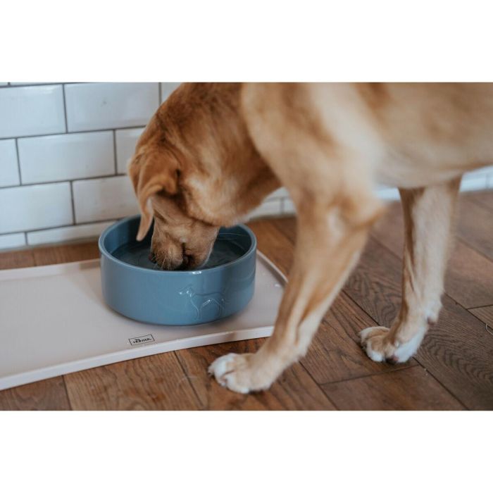 Comedero para Perro Hunter OSBY Azul Cerámica 550 ml 1 Comedero para Perro Hunter OSBY Azul Cerámica 550 ml 1