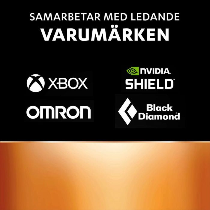 Pilas Recargables DURACELL DPBLR6B8 1,5 V 1 Pilas Recargables DURACELL DPBLR6B8 1,5 V 1