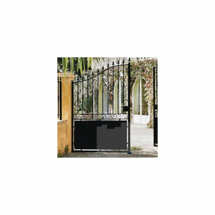 FARTOOLS Pack 615127: Renovador REX120C + cepillo y correas de nailon - Madera especial, metal y piedra - Superficies planas o complejas 2 FARTOOLS Pack 615127: Renovador REX120C + cepillo y correas de nailon - Madera especial, metal y piedra - Superficies planas o complejas 2