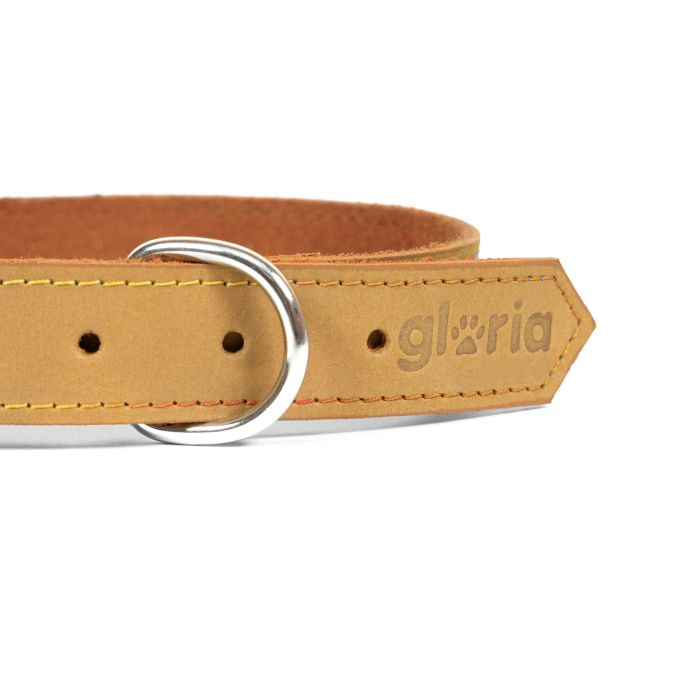 Collar Oasis 50 cm X 21 mm Amarillo 2 Collar Oasis 50 cm X 21 mm Amarillo 2