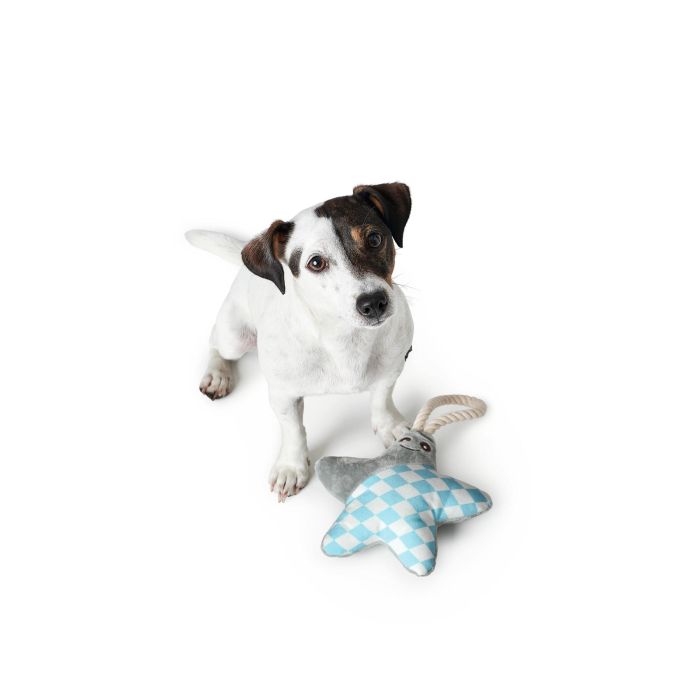 Mordedor de perro Hunter Salima Con cuerda Estrella de mar Gris Cachorros 3 Mordedor de perro Hunter Salima Con cuerda Estrella de mar Gris Cachorros 3