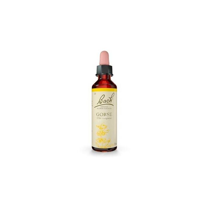 Flores Bach Original Gorse Aulaga 20ml