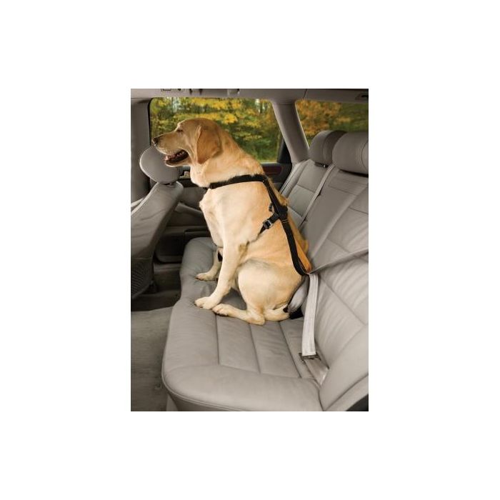 Petsafe Arnés Tru-Fit para Perros, Talla M (11,3-22,6 kg), Crash Tested, Compatible con Cinturón de Seguridad