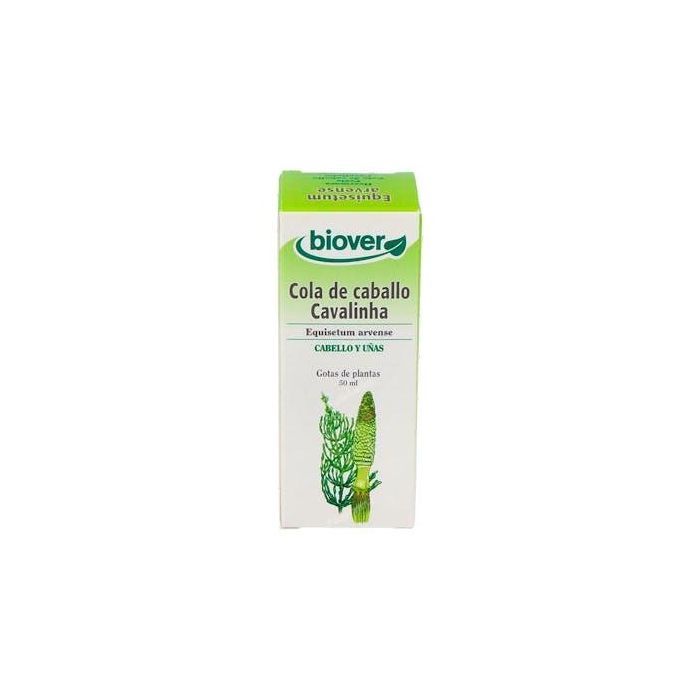 BIOVER Ext. Equisetum Arvense (Cola de Caballo) 50ml para Uñas, Cabello, Huesos y Articulaciones