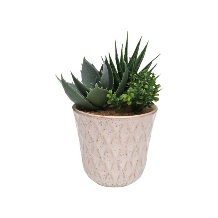 Planta Decorativa Versa Cerámica Plástico Fusion Suculenta 7,8 X 14 X 7,8 CM 1 Planta Decorativa Versa Cerámica Plástico Fusion Suculenta 7,8 X 14 X 7,8 CM 1
