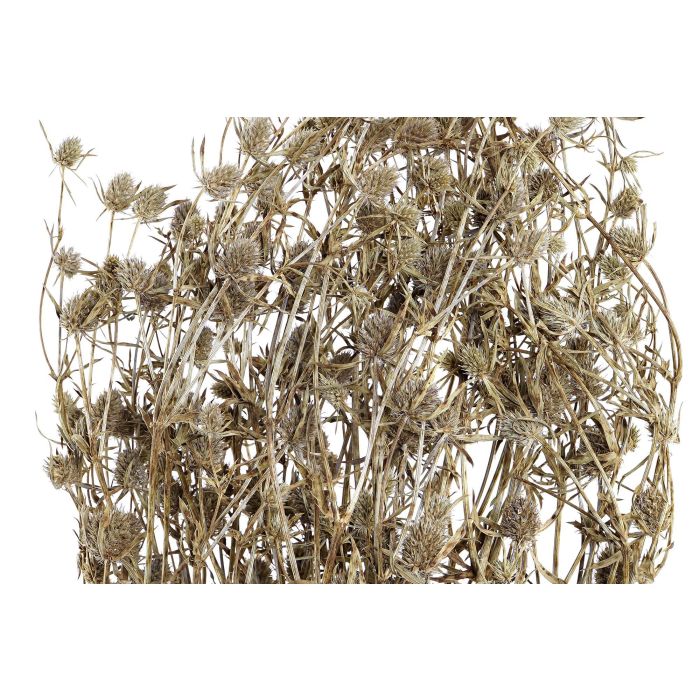 DKD Home Decor Rama Shabby Blanco Marron 20 x 70 x 20 cm (12 Unidades) 3