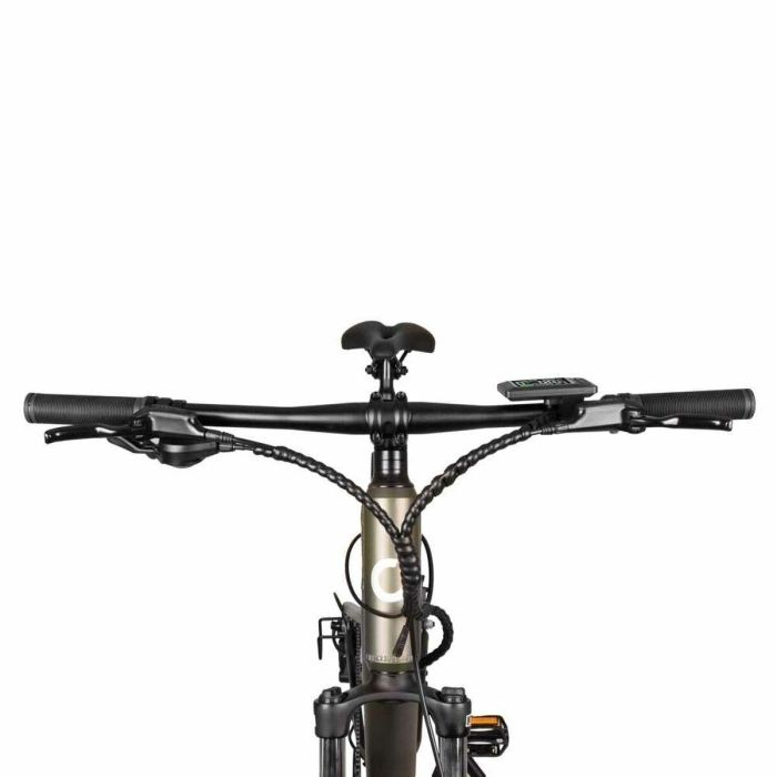 Bicicleta Eléctrica Cecotec Supreme 250 W 29" 12