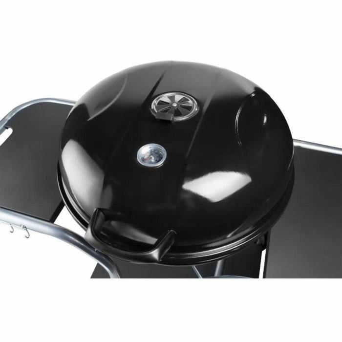 Fieldmann FZG 1014 Barbacoa de carbón 2