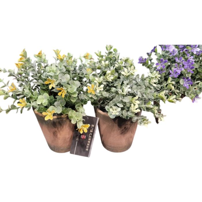 Planta  DKD Home Decor Verde Amarillo 15 x 18.5 x 15 cm (12 Unidades) 0 Planta  DKD Home Decor Verde Amarillo 15 x 18.5 x 15 cm (12 Unidades) 0