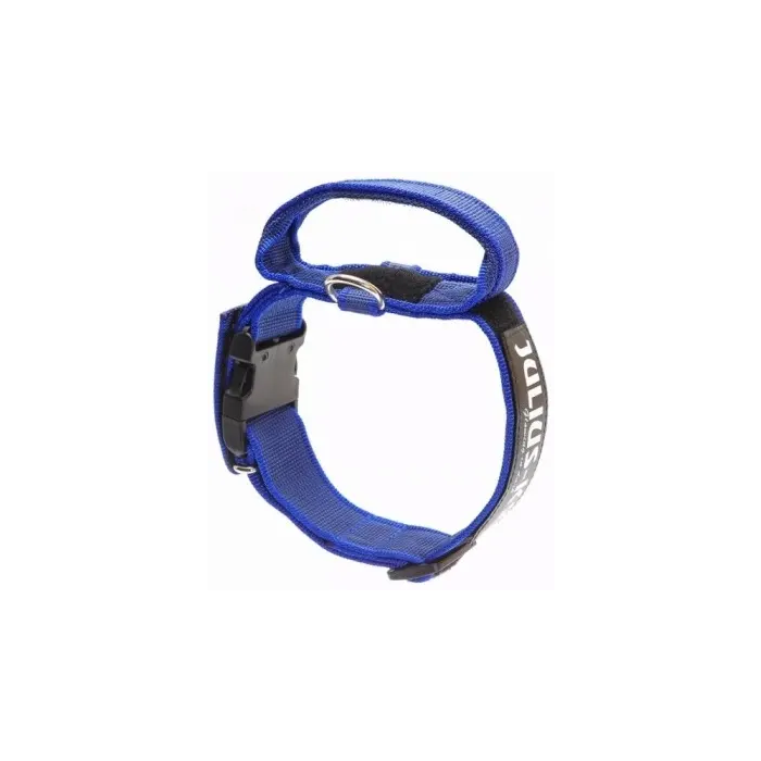 Julius K9 Collar Color Gray Engomada 1M 20 mm Azul