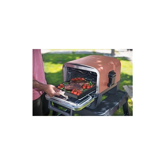 Ninja OO101EU Bandeja de Hierro Fundido para Horno Woodfire Ideal para Caramelizar y Sellar 1