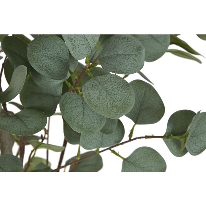Planta Urban DKD Home Decor Verde Marron 50 x 120 x 50 cm (2 Unidades) 1 Planta Urban DKD Home Decor Verde Marron 50 x 120 x 50 cm (2 Unidades) 1