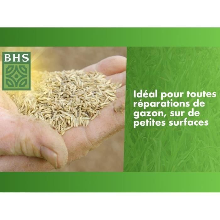 Reparador de césped Top Dress - BHS - 500 g | 20 m² | Semillas recubiertas para una mejor adherencia al suelo. 1 Reparador de césped Top Dress - BHS - 500 g | 20 m² | Semillas recubiertas para una mejor adherencia al suelo. 1