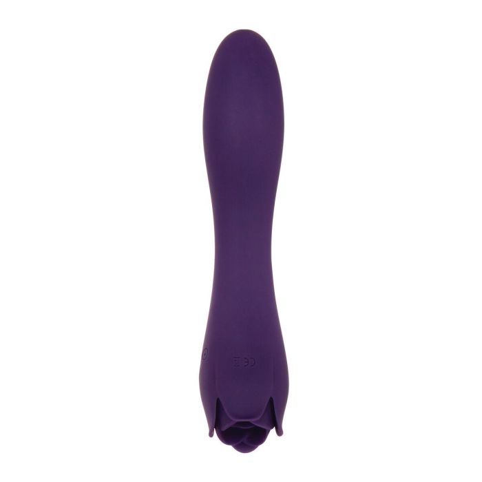 Vibrador Evolved Morado 17 Vibrador Evolved Morado 17