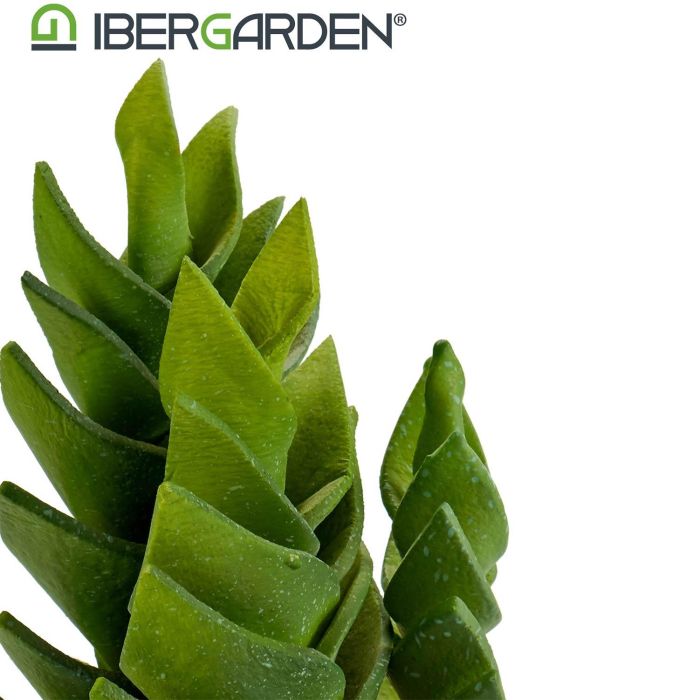 Cactus Plástico Echeveria 25 cm - Ibergarden (6 Unidades) 2 Cactus Plástico Echeveria 25 cm - Ibergarden (6 Unidades) 2