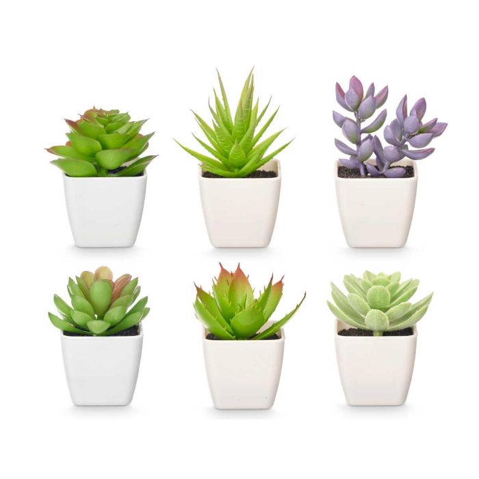 Maceta Cuadrada Surt Peq Ibergarden 5X10CM (48 Unidades) 1 Maceta Cuadrada Surt Peq Ibergarden 5X10CM (48 Unidades) 1