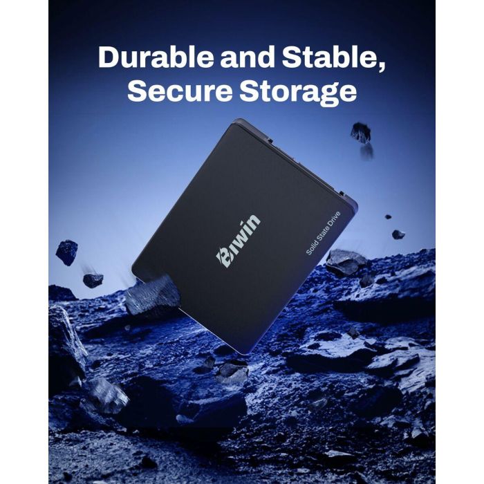 Disco Duro Biwin M100 256 GB SSD 6