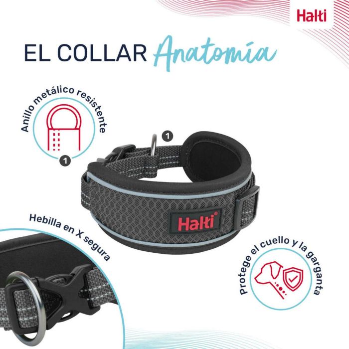 Collar para Perro Company of Animals Gris