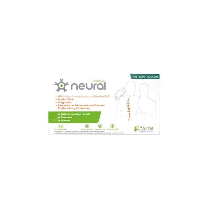 Neural