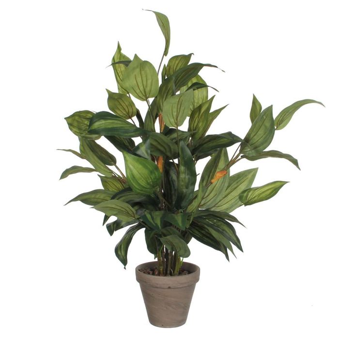 Mica Decorations Hosta - Planta artificial en PVC verde con maceta de cerámica gris, 15.5x65cm 0 Mica Decorations Hosta - Planta artificial en PVC verde con maceta de cerámica gris, 15.5x65cm 0