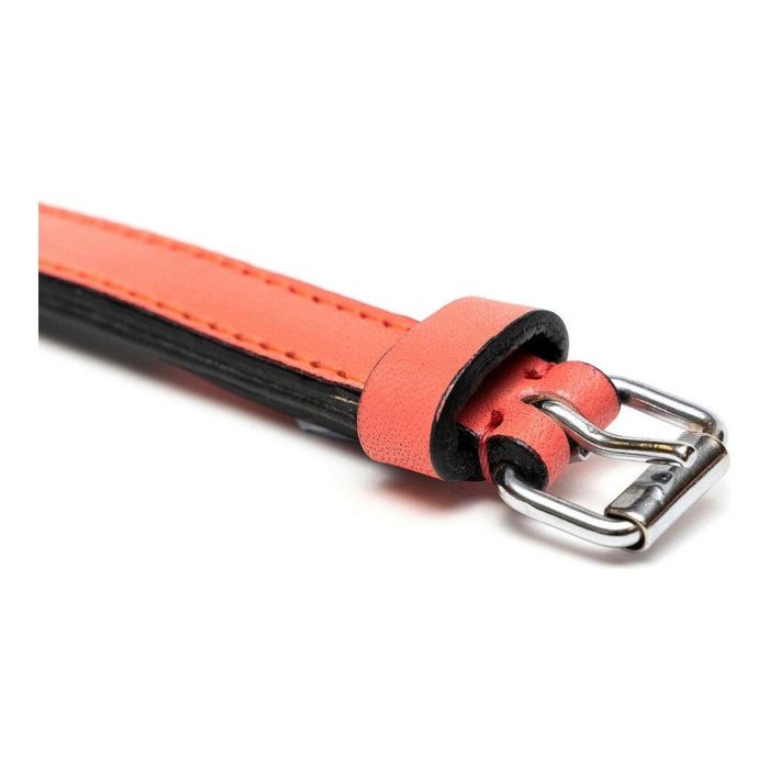 Collar para Perro Gloria Acolchado Coral (55 x 2,5 cm) 4 Collar para Perro Gloria Acolchado Coral (55 x 2,5 cm) 4