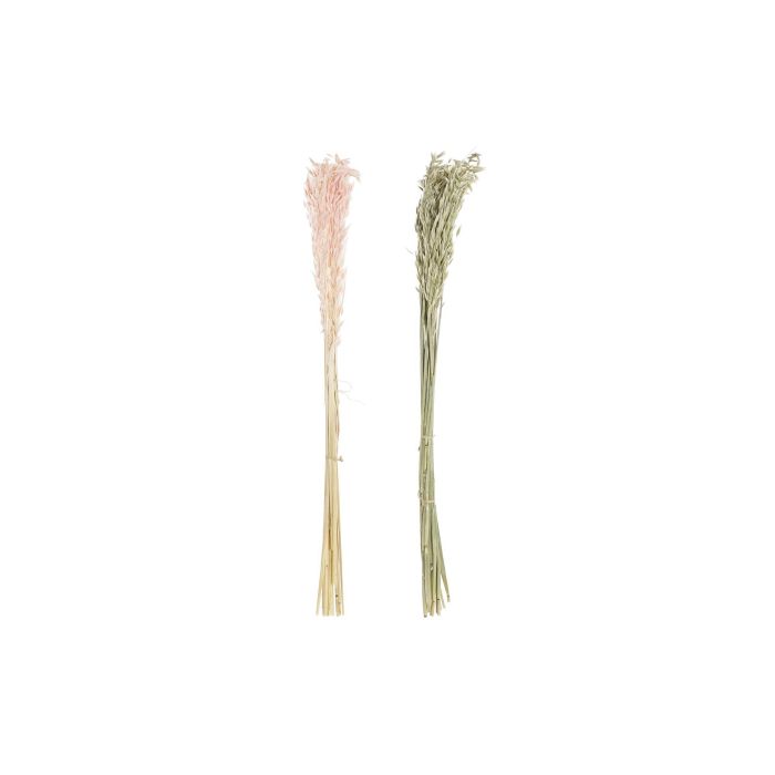 DKD Home Decor Rama de Flor Seca de Avena para Decoración de Hogar, Color Crema Rosa Palo, Altura 60 cm, Set de 12 Unidades