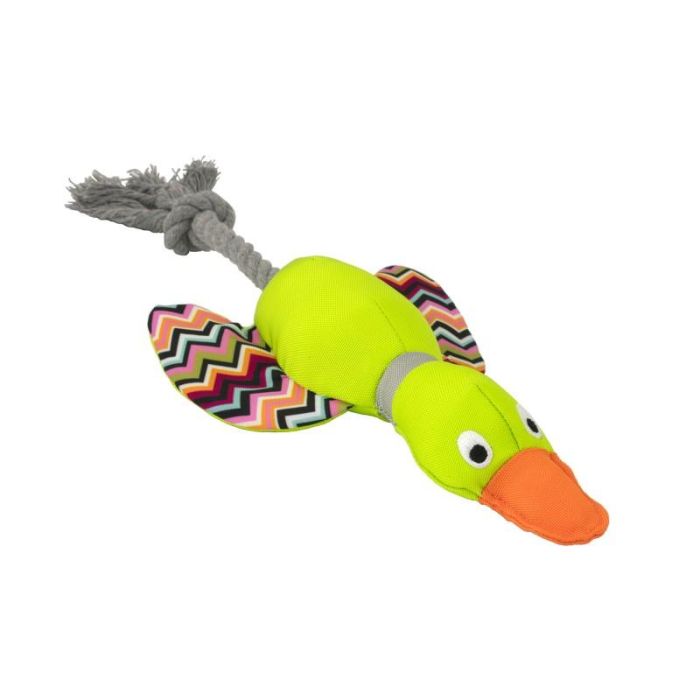 Pato Harry Con Cuerda Dental 33 cm 1 Pato Harry Con Cuerda Dental 33 cm 1