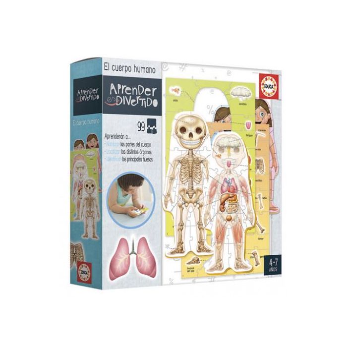 Educa Juego Aprender es Divertido El Cuerpo Humano