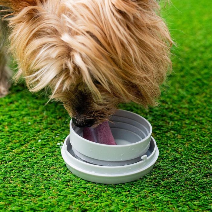 Correa Retráctil para Perros 6 en 1 Leashic InnovaGoods 4 Correa Retráctil para Perros 6 en 1 Leashic InnovaGoods 4