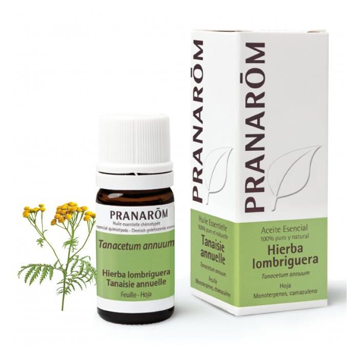 PRANAROM ACEITES Aceite Esencial de Hierba Lombriguera (Tanacetum annuum) 5ml