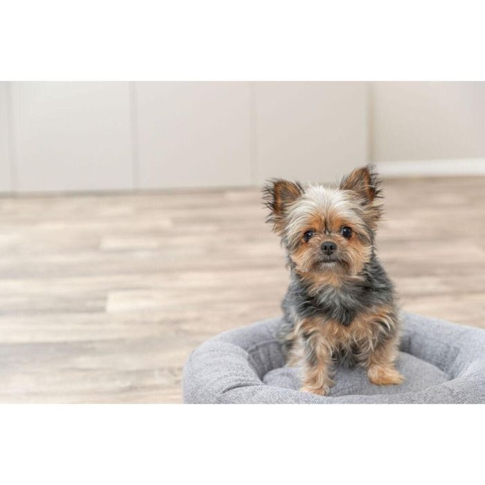 Cama para Perro Trixie Gris Ø 50 cm 2
