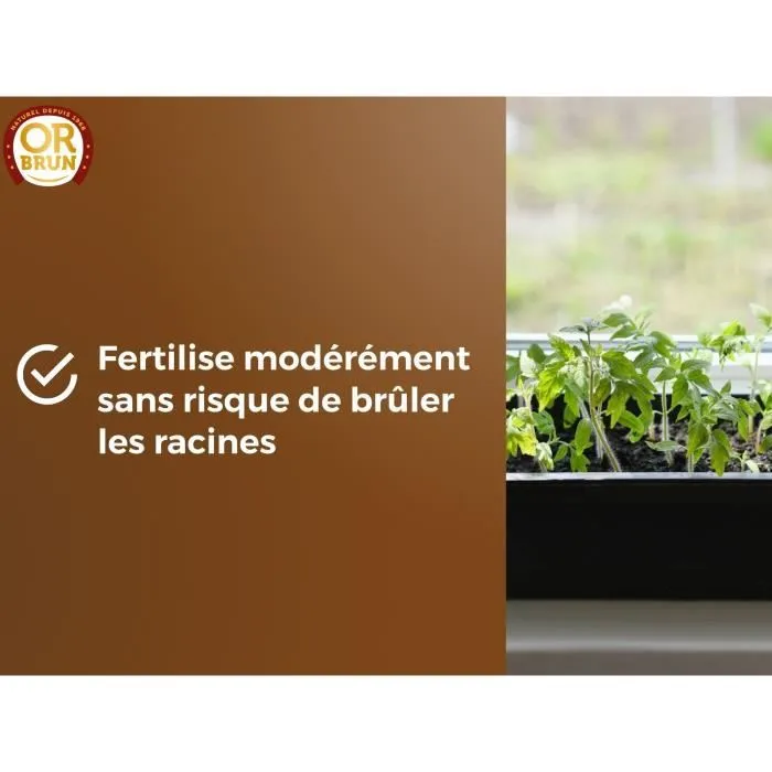 Or Brun Tierra para Semillas OBRTSEM6U - 6L - Mejora el Drenaje - Retención Óptima de Agua 5