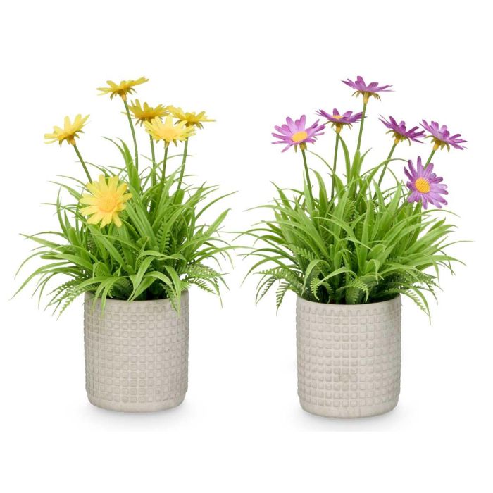 Maceta Cemento Cuadrados Margaritas Surtidos Ibergarden 16x22x16cm (24 Unidades) 2 Maceta Cemento Cuadrados Margaritas Surtidos Ibergarden 16x22x16cm (24 Unidades) 2