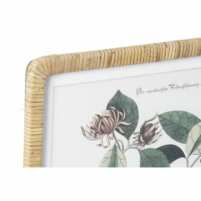 Cuadro Shabby DKD Home Decor Verde Beige 2.5 x 65 x 50 cm (4 Unidades) 1