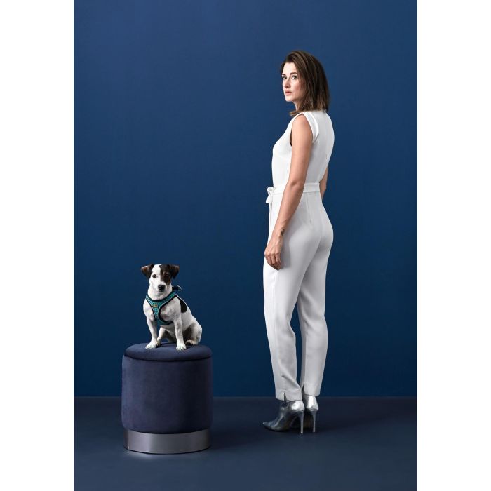 Hunter Arnés Hilo Comfort para Perros Malla 3D Transpirable Reflectante Talla S-M Cuello 48-55cm Pecho 52-58cm Azul 2