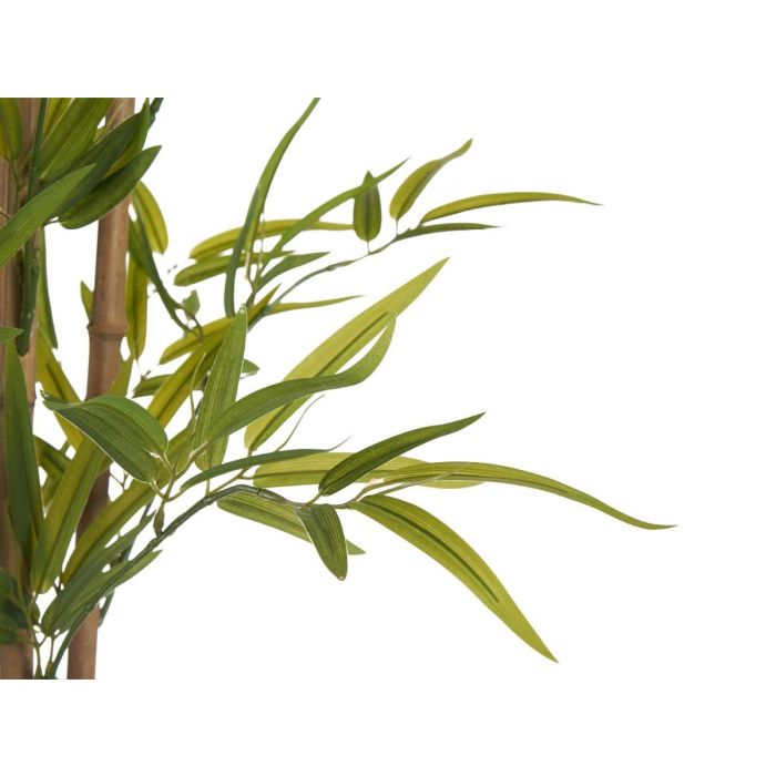 Planta con Maceta de Bambú Mediano 150 cm - Ibergarden 2 Planta con Maceta de Bambú Mediano 150 cm - Ibergarden 2