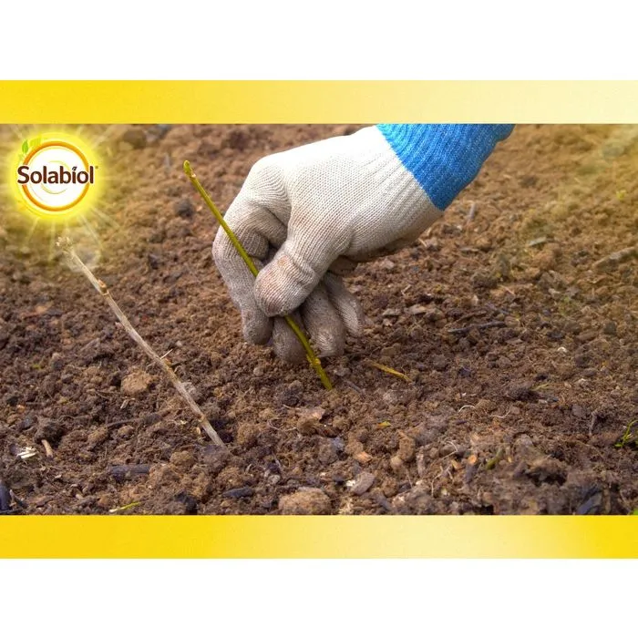 Solabiol SOBOUTU40 Osiryl Corte - Estimula el Enraizamiento de Esquejes y Plantas Trasplantadas - 40 ml 4