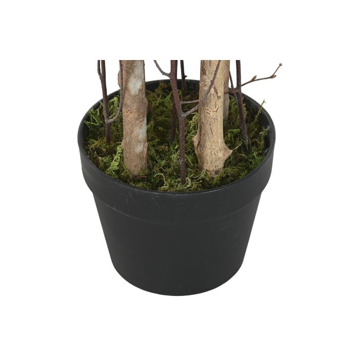 Arbol Mediterraneo DKD Home Decor Verde 60 x 180 x 60 cm (2 Unidades) 3