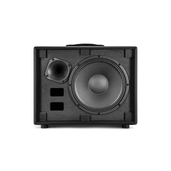 IKMultimedia TONEX Cab Pantalla FRFR Profesional Amplificada 350W RMS para Guitarra con DSP Avanzado y Celestion 12" 7