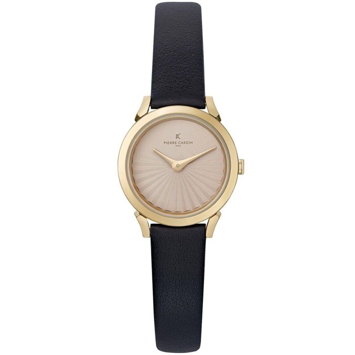 Reloj Mujer Pierre Cardin CPI-2514