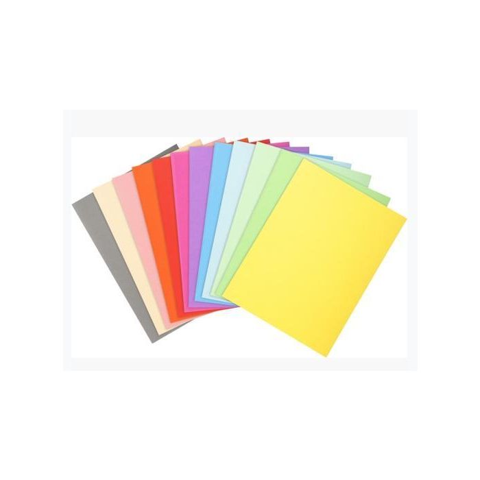 Exacompta Subcarpetas A4 Forever Colores Surtidos 220 gr -100U- Exacompta Subcarpetas A4 Forever Colores Surtidos 220 gr -100U-