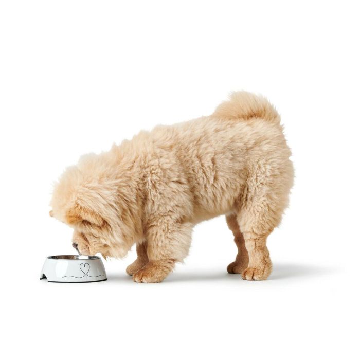 Comedero para Perro Hunter Valencia Blanco 350 ml 4