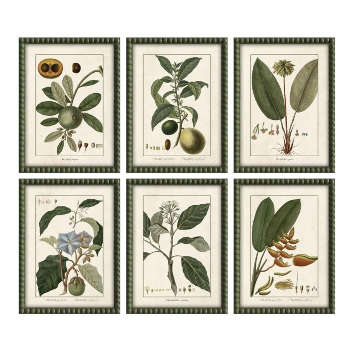 DKD Home Decor Cuadro Cottage Botánico Verde 2.5 x 40 x 30 cm (Set de 6 Cuadros de Abeto y Cristal)