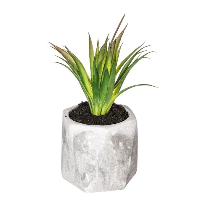 Atmosphera Planta Decorativa con Maceta 7x14cm Modelos Surtidos 1