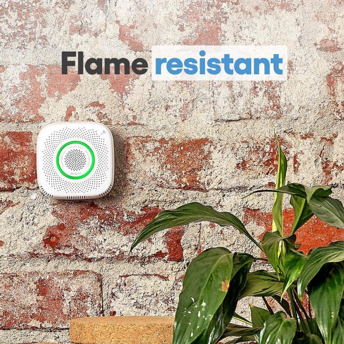 Shelly Detector Gas natural 7 Shelly Detector Gas natural 7