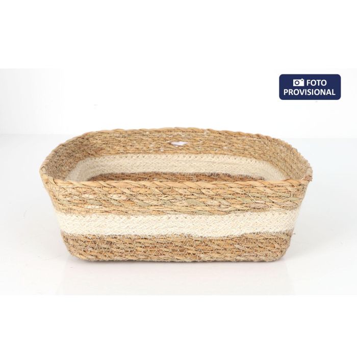 Cesta Cónica de Mimbre Cuadrada Privilege 22x22x8 cm - Inde (12 Unidades) Cesta Cónica de Mimbre Cuadrada Privilege 22x22x8 cm - Inde (12 Unidades)