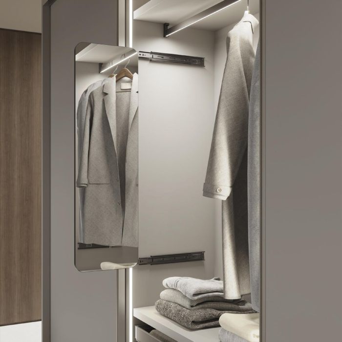 Emuca Espejo extraíble para interior de armario Quartz, con giro 180°, 1.000x300mm, Aluminio, vidrio y acero, Titanio 1 Emuca Espejo extraíble para interior de armario Quartz, con giro 180°, 1.000x300mm, Aluminio, vidrio y acero, Titanio 1