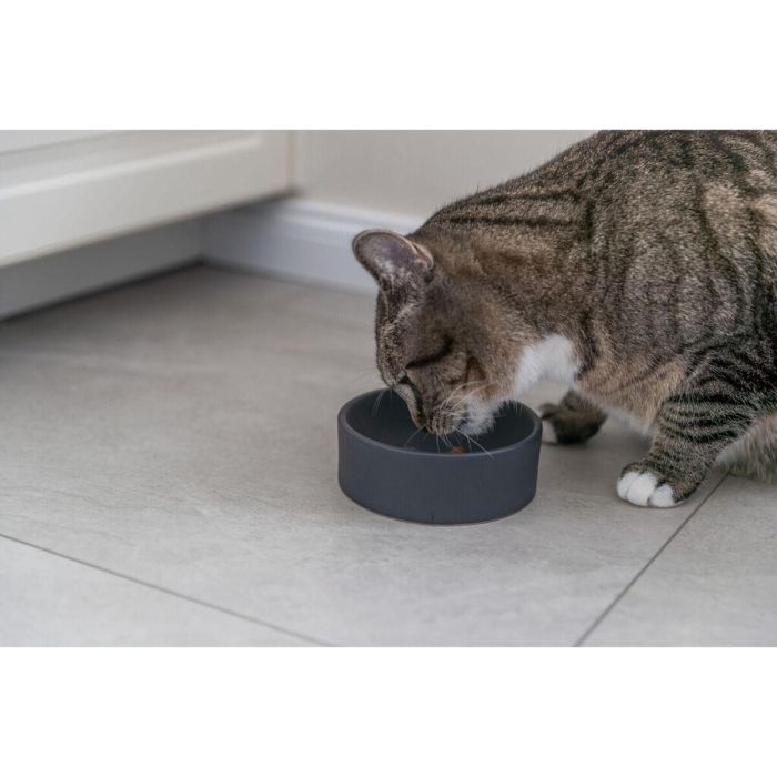 Comedero para Gato Trixie Cerámica Ø 12 cm 1 Comedero para Gato Trixie Cerámica Ø 12 cm 1