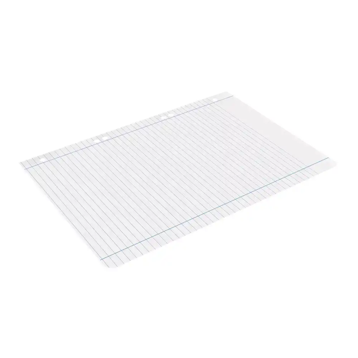 Liderpapel Recambio A5 100 Hojas 100gr Horizontal Doble Margen 6 Taladros 6