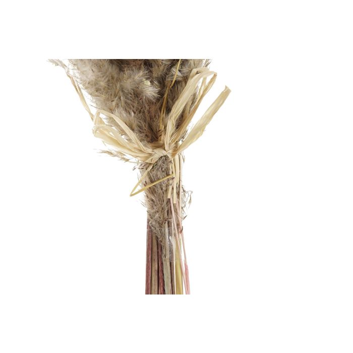 DKD Home Decor Ramo de Flor Seca Marrón y Rosa Palo de 56 cm Alto - Pack 6 Unidades 2 DKD Home Decor Ramo de Flor Seca Marrón y Rosa Palo de 56 cm Alto - Pack 6 Unidades 2